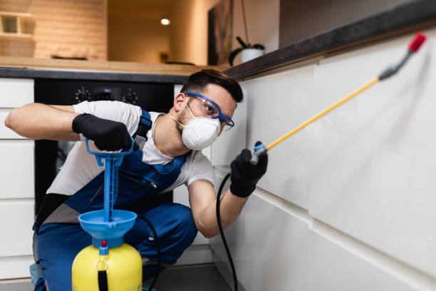 Best Affordable Pest Control Services  in Hartington, NE