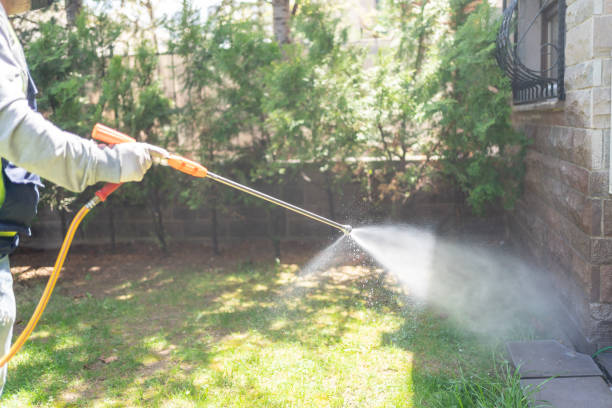 Best Termite Control Services  in Hartington, NE