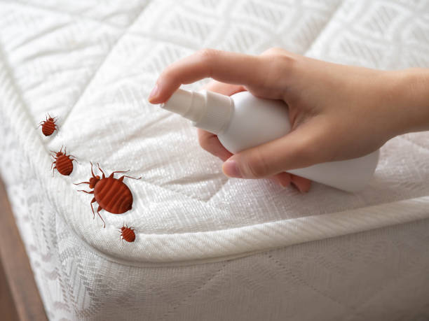 Best Flea Control Services  in Hartington, NE