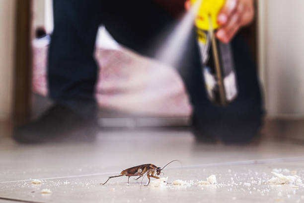Best Best Pest Control Companies  in Hartington, NE