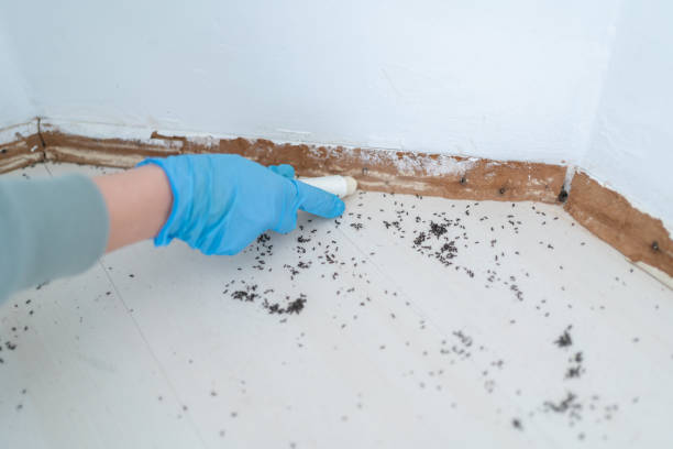 Best Pest Removal Services  in Hartington, NE